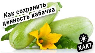 ЦЕННОСТЬ КАБАЧКА! #Рекомендация #Инструкция