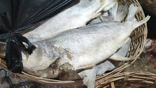 Dry fish market of chilika balugaon