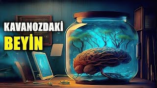 Beyninizin Bir Kavanozun İçinde Olmadığından Emin misiniz - Kavanozdaki Beyin Düşünce Deneyi