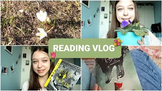 READING VLOG - Julia i Rekin, Piękno i bestie, Persepolis i trochę mojego życia