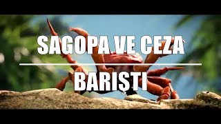 Crab Rave - Neyim Var Ki (Mash-up)