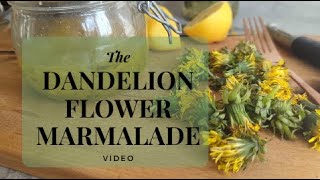 Foraged Dandelion Flower Marmalade Adventure!