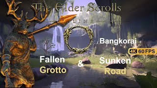 Elder Scrolls Online Bangkorai Part 7 Fallen Grotto & Sunken Road