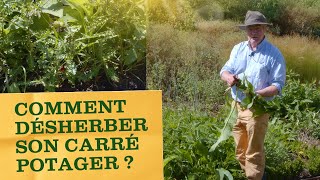 Comment bien désherber (facilement) son carré potager ?