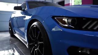 Ceramic Pro - Gold Package on 2017 Shelby GT 350!!