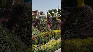 Miracle Garden DUBAJ 🇦🇪