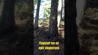 We all want to go back, this Flagstaff trail slams!