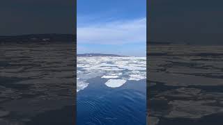 冬限定の流氷クルーズ最高だった！📍北海道 網走流氷観光砕氷船 おーろら / Drift Ice Ship, Hokkaido Japan #Japan #Travel #北海道