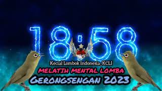 TERAPI AUDIO GERONGSENGAN/ MELATIH MENTAL KECIAL KUNING LOMBA