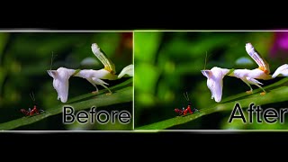 How to improve photo in Photoshop (How to get the best out)