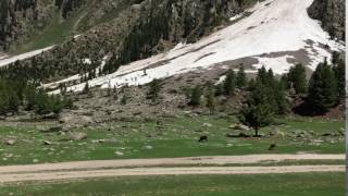 Astore |Rama Valley| Beautiful Valley In Mountains #GilgitBaltistan #NorthernPakistan