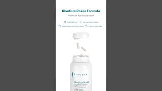 RHODIOLA ROSEA Benefits | Natural Premium Formula