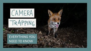 CAMERA TRAPPING: Equipment, Settings, Set Up