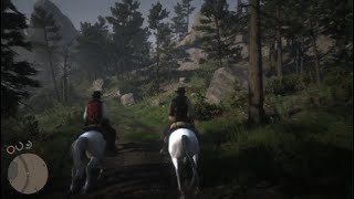 Red Dead Redemption 2_20220323114508