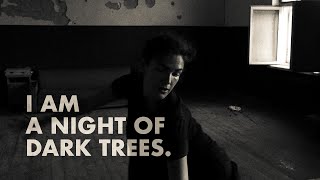 I Am A Night Of Dark Trees.