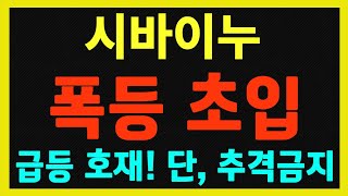 [시바이누] 급등 호재 출현, 저항선 돌파, 완전 정배열 곧 출현! 고래 세력 집중 매수!!