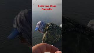 You ever Catch a Football?   You know those Giant Smallmouths Bass!  #giant #wisconsin #fishingvideo