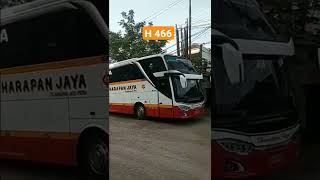 Bus Harapan Jaya || H 466 #busmaniacomunity #harapanjayamania #videobus #storybus #shorts