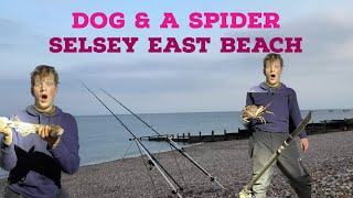 Smoothound & Ray Fishing | Selsey