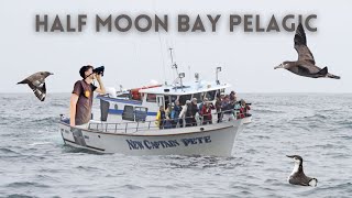 Half Moon Bay Pelagic