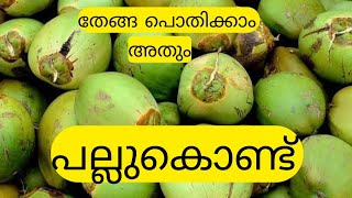 തേങ്ങ പൊതിക്കാം 1 മിനിറ്റിൽ ||അത്ഭുതകാഴ്ച്ച കാണാം|| 1മിനിറ്റിൽ  തേങ്ങ പൊതിക്കാം #trending #coconut