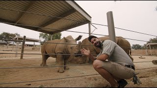 Tour the Rhino Rescue Center