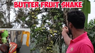 Butter Fruit