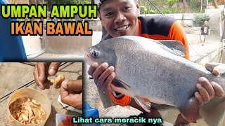 RACIKAN UMPAN BAWAL PALING JITU | Langsung tes mancing di kolam harian