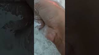 #asmr#asmrvideo#sound#foryou#relax#satisfying#dry#fun#wet#crush#crunchy#dusty#shorts#viral#fall