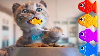 Fun Pet Kitten Care Game - Little Kitten Preschool - Play Pet Care Game for Toddlers and Children