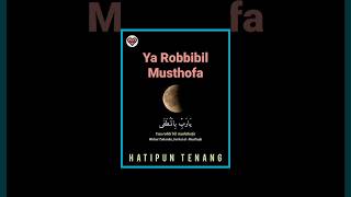 Ya Robbibil Musthofa #sholawat #sholawatmerdu #sholawatnabi #storywa #liriklagu #cintasholawat