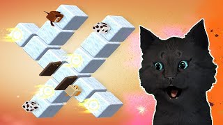 Epic Animal   Move to Box Puzzle С ГОВОРЯЩИМ СУПЕР КОТОМ  ИГРА для ДЕТЕЙ  ИГРА НА АНДРОИД #148