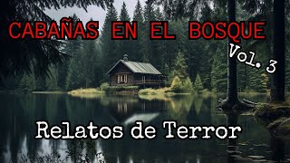 Historias de Terror en Cabañas del Bosque Vol.3 / "Habia algo en el sotano."