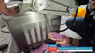 Pakistani macaroni customer on-site test machine