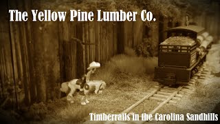 Timberroads in the Carolina Sandhills - The Yellow Pine Lbr.Co. 1894