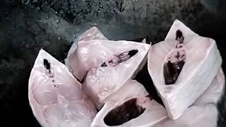 ইলিশের Recipe 🐟