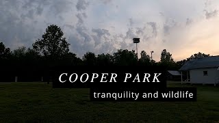 Mountain Home, Arkansas - Cooper Park - Morning Walk with Wildlife (Watch for the Bunnies!)