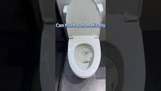 Own a smart toilet at a low cost!