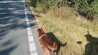 The beautiful back roads of Eastern Kentucky