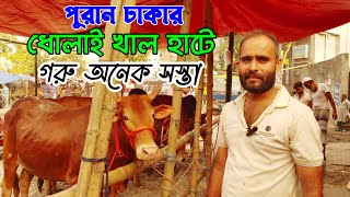 Bhai Koto Nilo? Paragram Gorur Haat 2023 |Qurbani Cow Price in Bangladesh | Haat Updates |CHANNEL 69