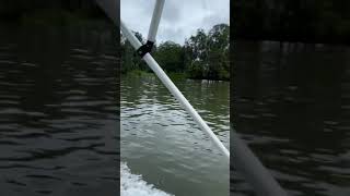 12ft Tinny with 5hp 2 Stroke Suzuki @ 10 Knots!