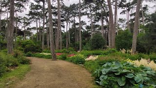 Walking day parc floral