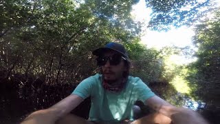 My Last Trip To the Honey Hole (Reason In Description)