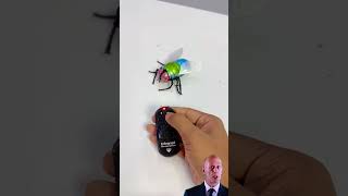 Remote Control New Simulation Housefly testing #toys #automobile #satisfying #funny #ruhulshorts #rc