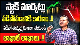 Best Stock To Buy Now 2024 | Stock Market For Begginners | Share Market News | Idream Finance