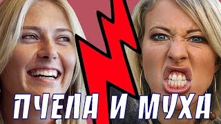 Пчела и Муха или как ты видишь мир. Мария Шарапова vs Ксения Собчак