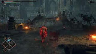 Demon's Souls invasion