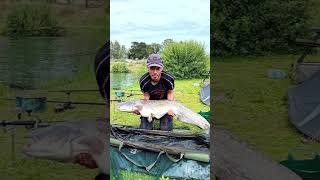 All my catfish starting with 21lb, 27lb and 51lb   #fishing #fishingvideo #catfish #fish #subscribe