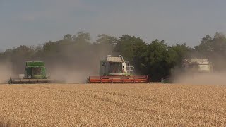 žatva pšenice//harvest wheat//2022//3xclaas 2x joh deere