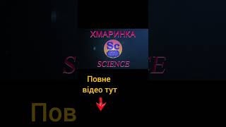 Сяйво життя: таємниці світіння тварин і рослин 🌌✨